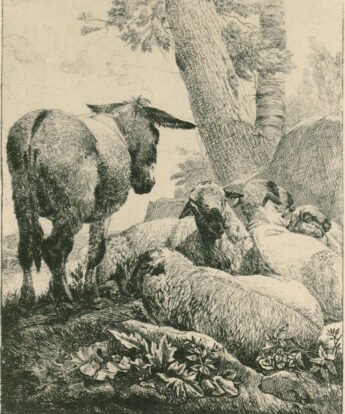 <span class="numbwork">1184</span > <span class="bullwork">•</span > El burro y las cuatro ovejas