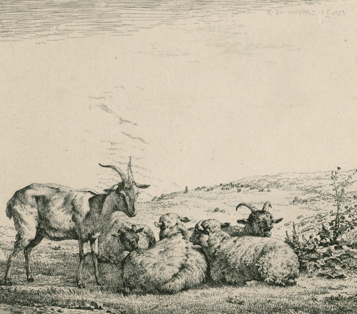 <span class="numbwork">1190</span > <span class="bullwork">•</span > Ovejas y cabras en el pasto