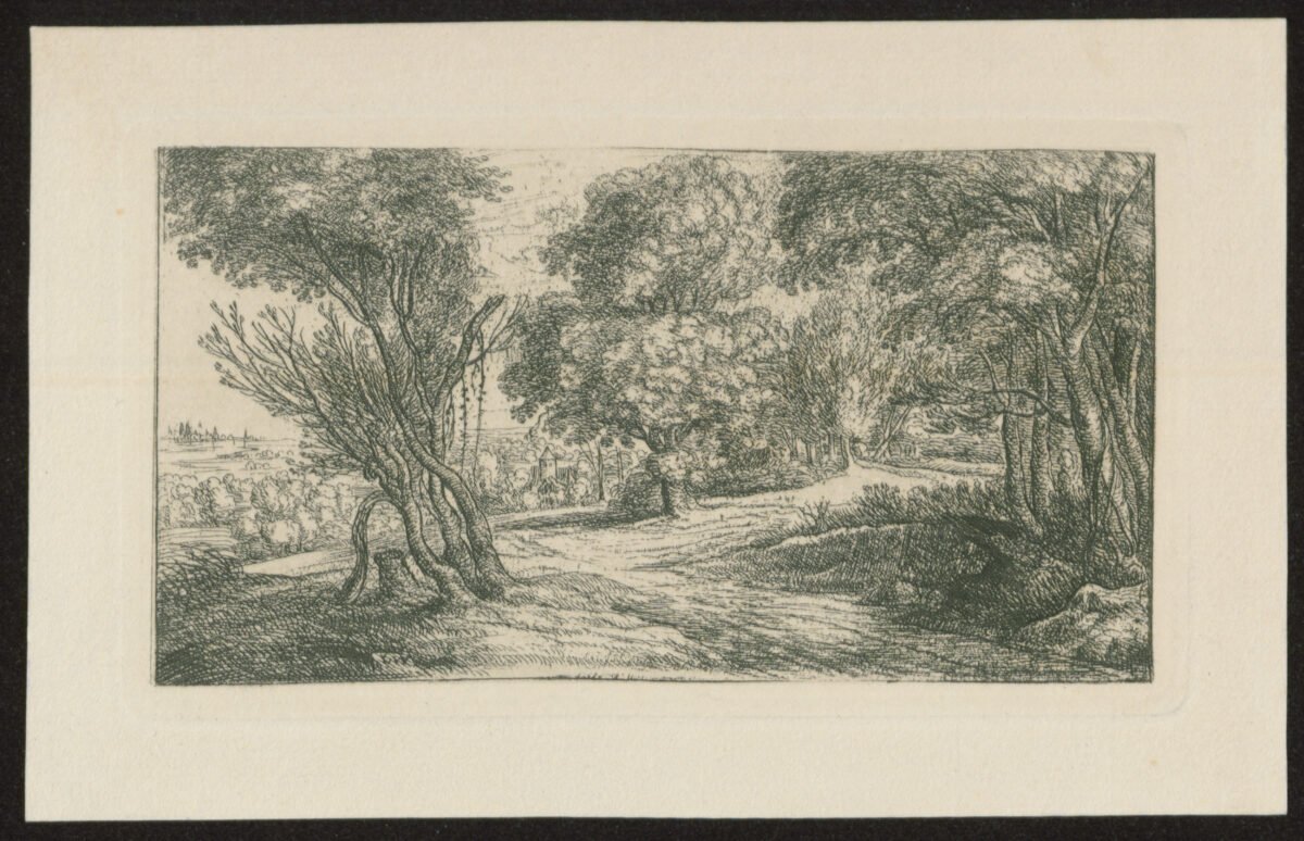<span class="numbwork">1198</span > <span class="bullwork">•</span > Entrada al bosque - Image 2
