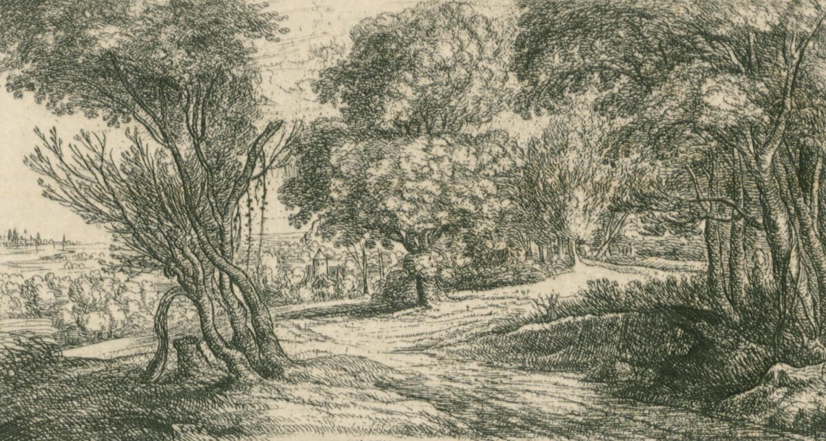<span class="numbwork">1198</span > <span class="bullwork">•</span > Entrada al bosque