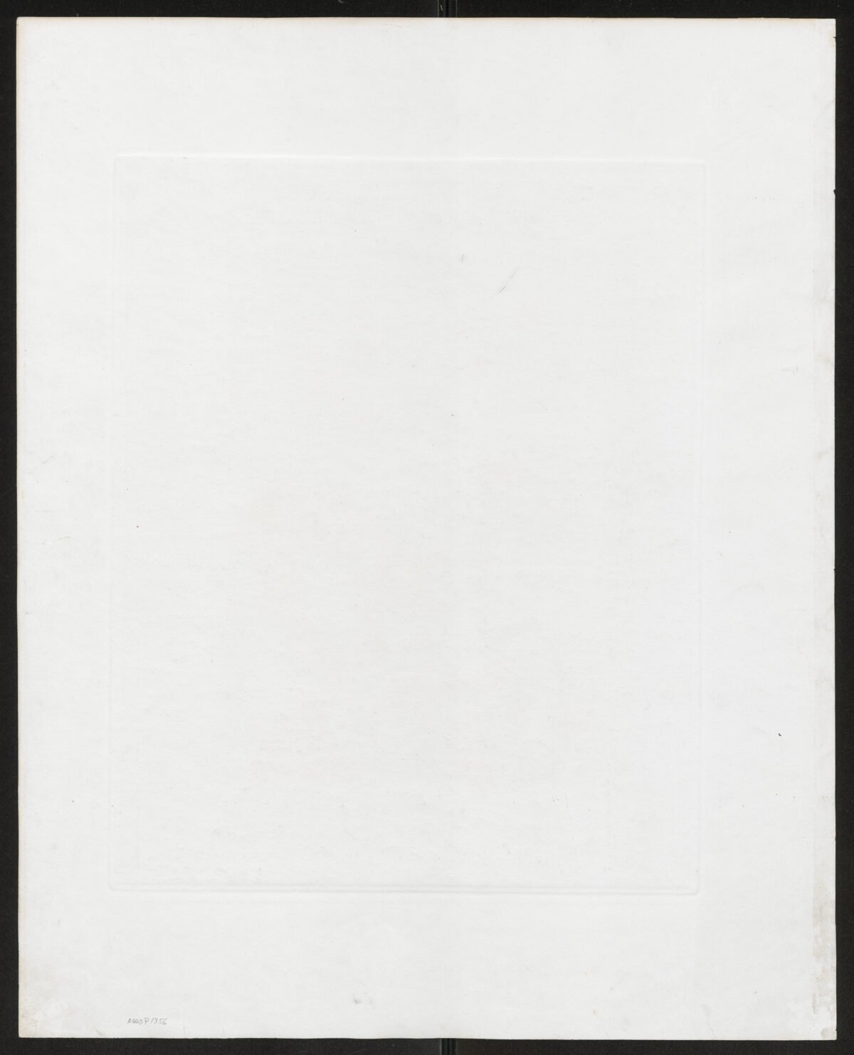 <span class="numbwork">1356</span > <span class="bullwork">•</span > La Bella - Image 3