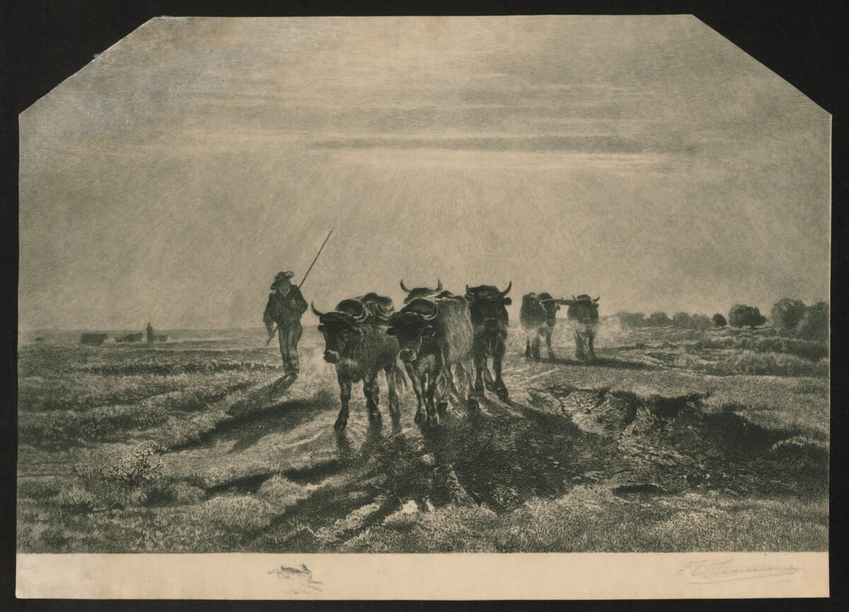 <span class="numbwork">1443</span > <span class="bullwork">•</span > Los bueyes van a arar - Image 2
