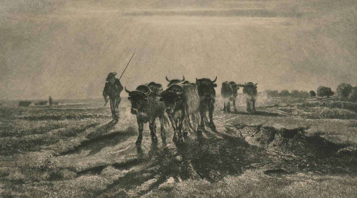 <span class="numbwork">1443</span > <span class="bullwork">•</span > Los bueyes van a arar