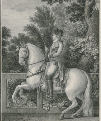 <span class="numbwork">1481</span > <span class="bullwork">•</span > Real Picadero de Carlos IV (9)