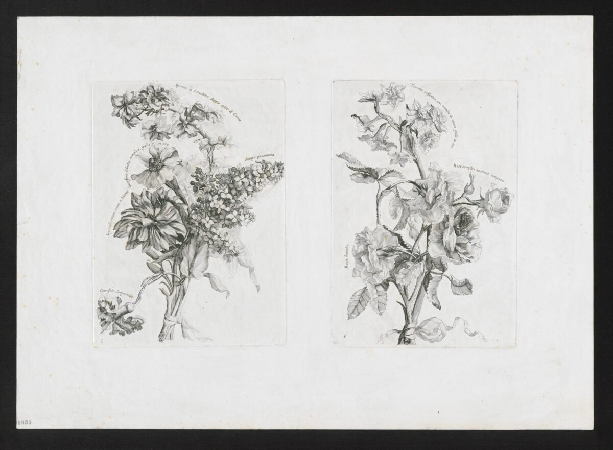 <span class="numbwork">1586</span > <span class="bullwork">•</span > Ilustración botánica sobre flores - Image 2