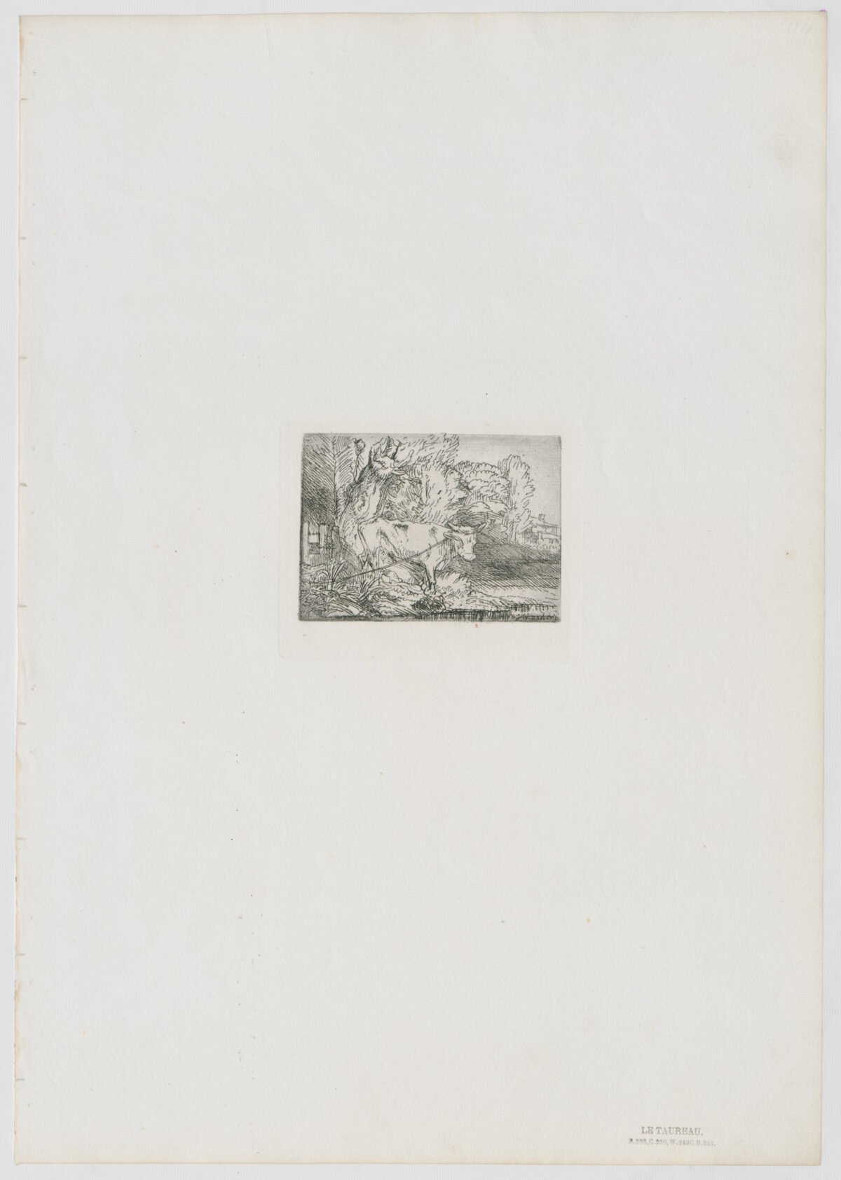<span class="numbwork">0207</span > <span class="bullwork">•</span > El toro - Image 2