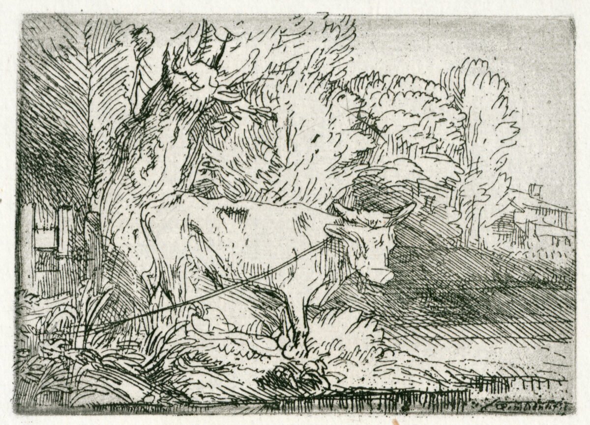 <span class="numbwork">0207</span > <span class="bullwork">•</span > El toro