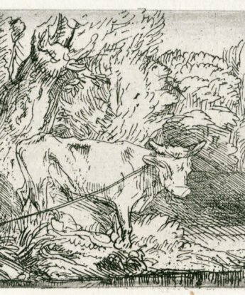 <span class="numbwork">0207</span > <span class="bullwork">•</span > El toro