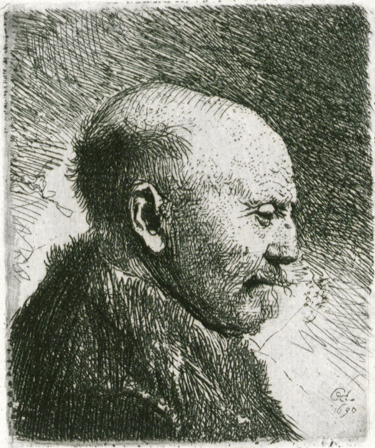 <span class="numbwork">0233</span > <span class="bullwork">•</span > Anciano calvo de perfil (el padre de Rembrandt)