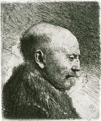 <span class="numbwork">0233</span > <span class="bullwork">•</span > Anciano calvo de perfil (el padre de Rembrandt)