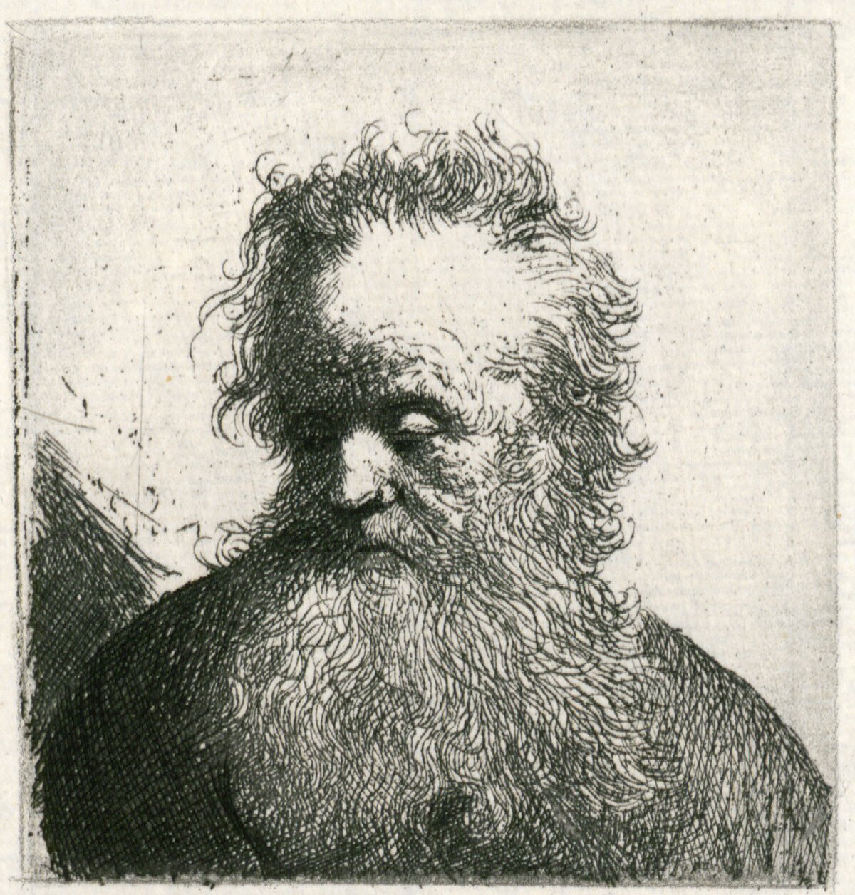 <span class="numbwork">0255</span > <span class="bullwork">•</span > Busto de un anciano con barba larga y cabellos erizados