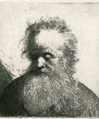 <span class="numbwork">0255</span > <span class="bullwork">•</span > Busto de un anciano con barba larga y cabellos erizados