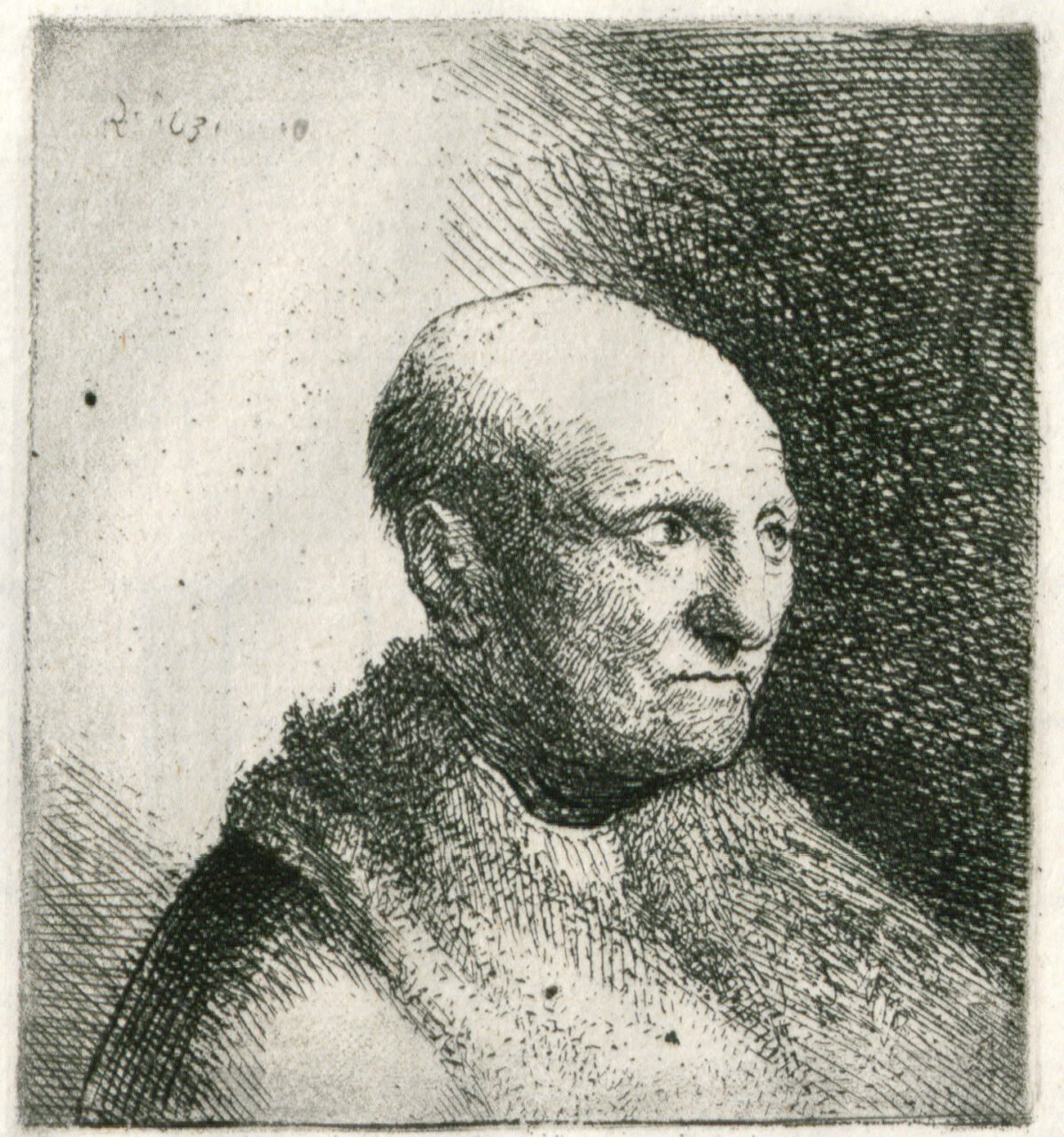 <span class="numbwork">0264</span > <span class="bullwork">•</span > Busto de hombre calvo con una capa de piel