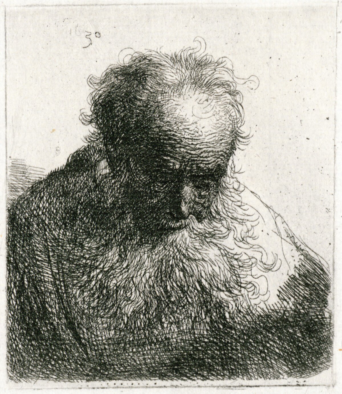 <span class="numbwork">0265</span > <span class="bullwork">•</span > Busto de un anciano con barba ondulada