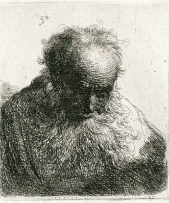 <span class="numbwork">0265</span > <span class="bullwork">•</span > Busto de un anciano con barba ondulada
