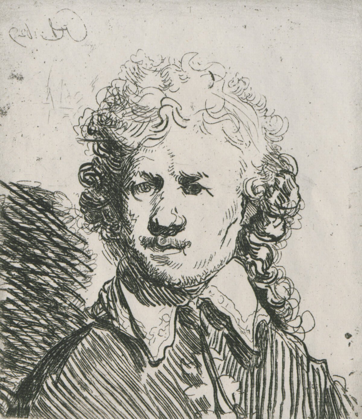 <span class="numbwork">0275</span > <span class="bullwork">•</span > Rembrandt con cabellos largos y ondulados