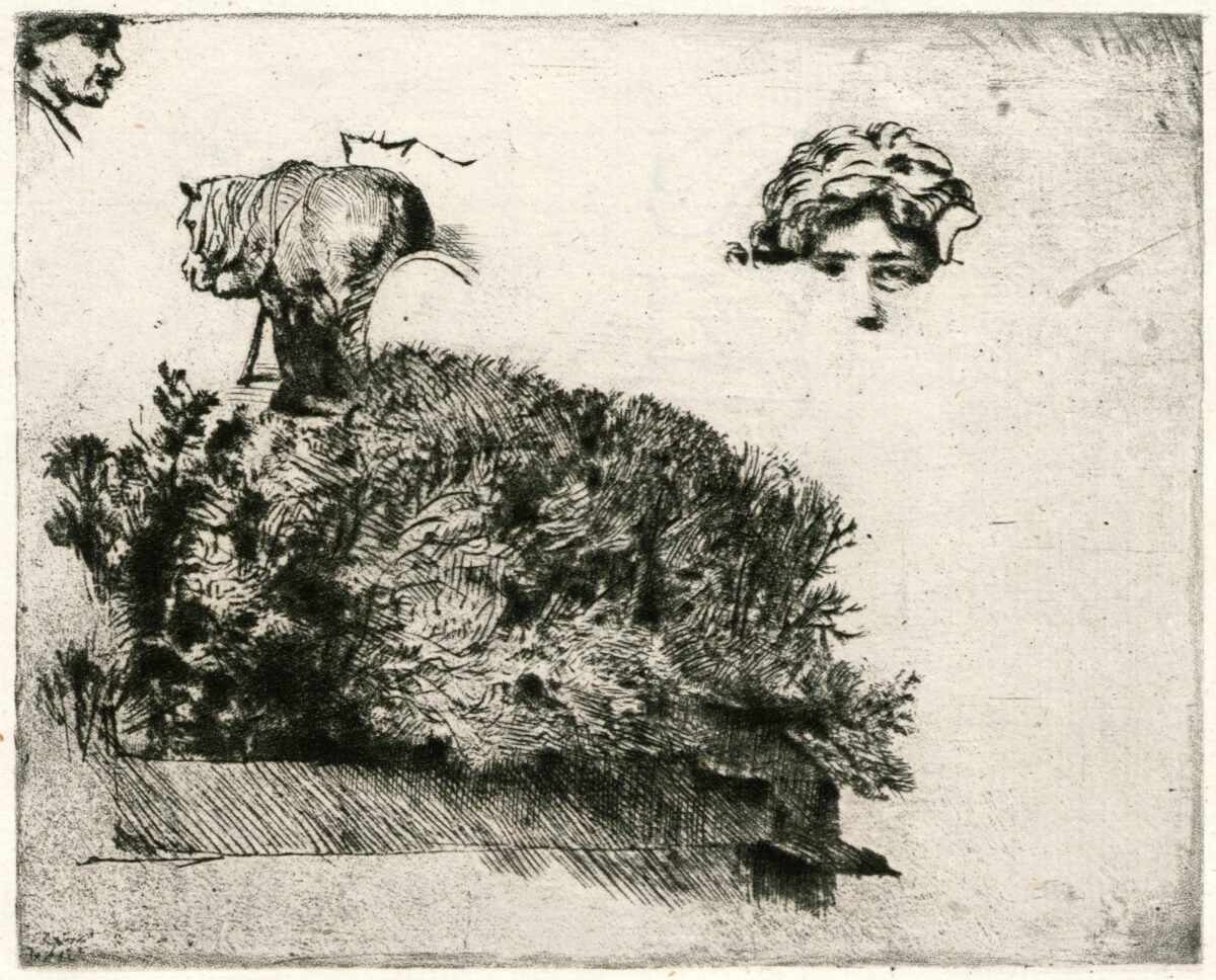 <span class="numbwork">0297</span > <span class="bullwork">•</span > Hoja de estudios (figuras, caballo y matorral)