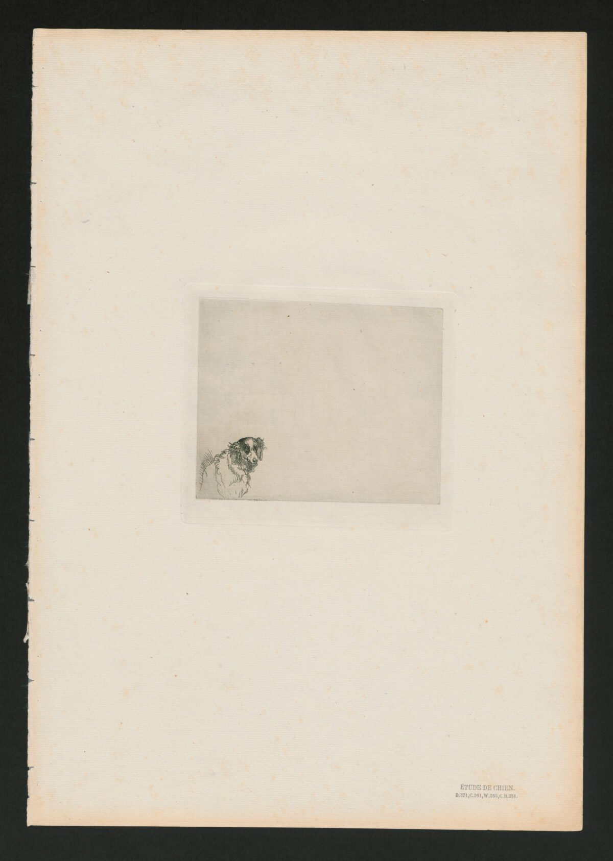 <span class="numbwork">0304</span > <span class="bullwork">•</span > Cabeza de un perro - Image 2