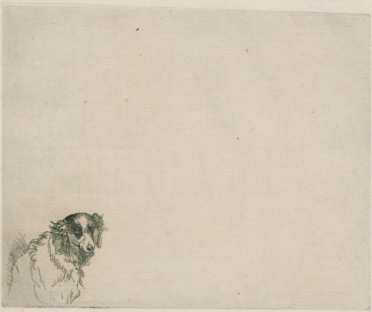 <span class="numbwork">0304</span > <span class="bullwork">•</span > Cabeza de un perro