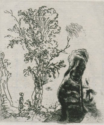 <span class="numbwork">0305</span > <span class="bullwork">•</span > Hoja con dos estudios (un árbol y parte superior de la cabeza de Rembrandt)