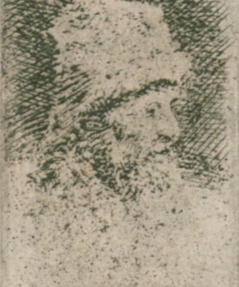 <span class="numbwork">0309</span > <span class="bullwork">•</span > Perfil de anciano