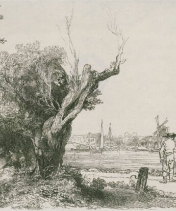 <span class="numbwork">0315</span > <span class="bullwork">•</span > Vista de Omval (península en las afueras de Ámsterdam)