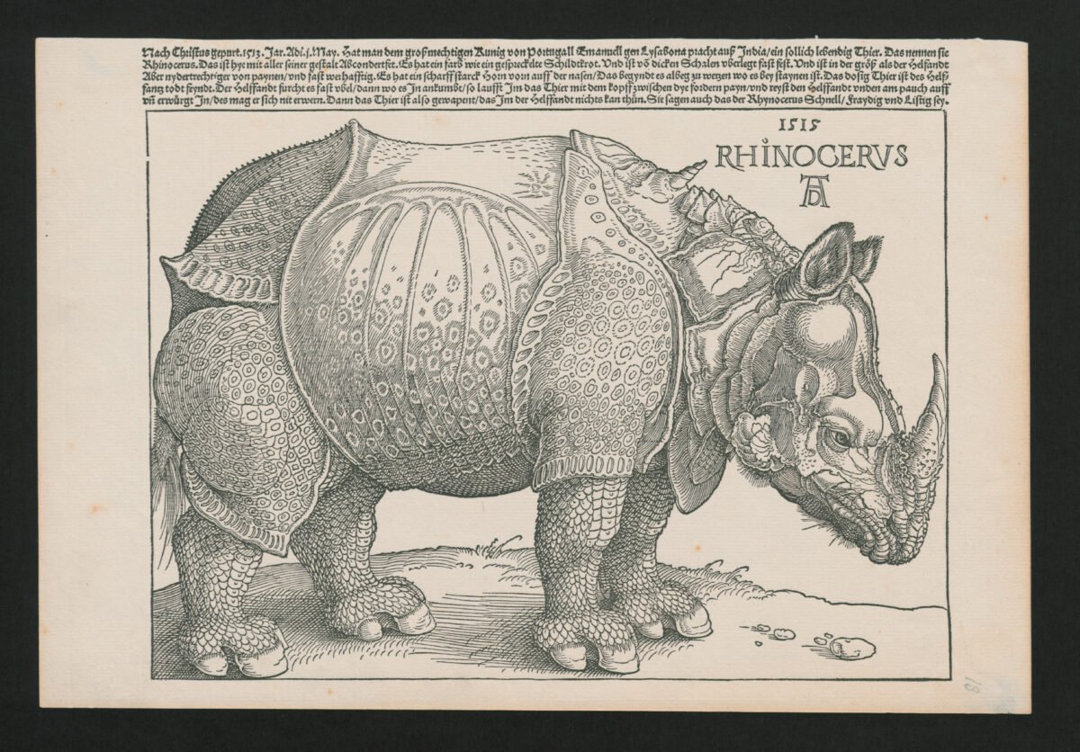 <span class="numbwork">0390</span > <span class="bullwork">•</span > El rinoceronte - Image 2