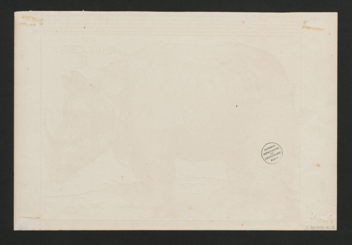 <span class="numbwork">0390</span > <span class="bullwork">•</span > El rinoceronte - Image 3