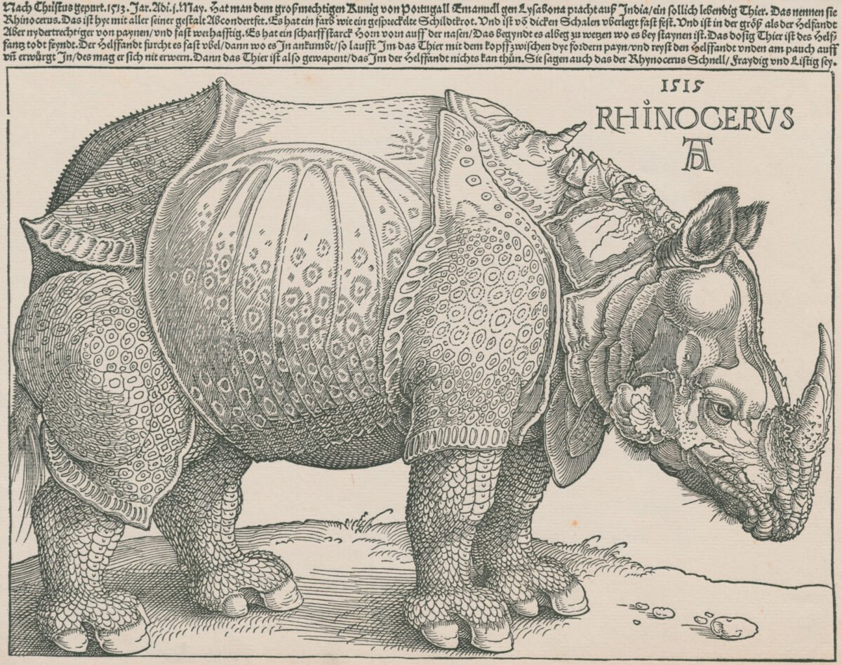 <span class="numbwork">0390</span > <span class="bullwork">•</span > El rinoceronte