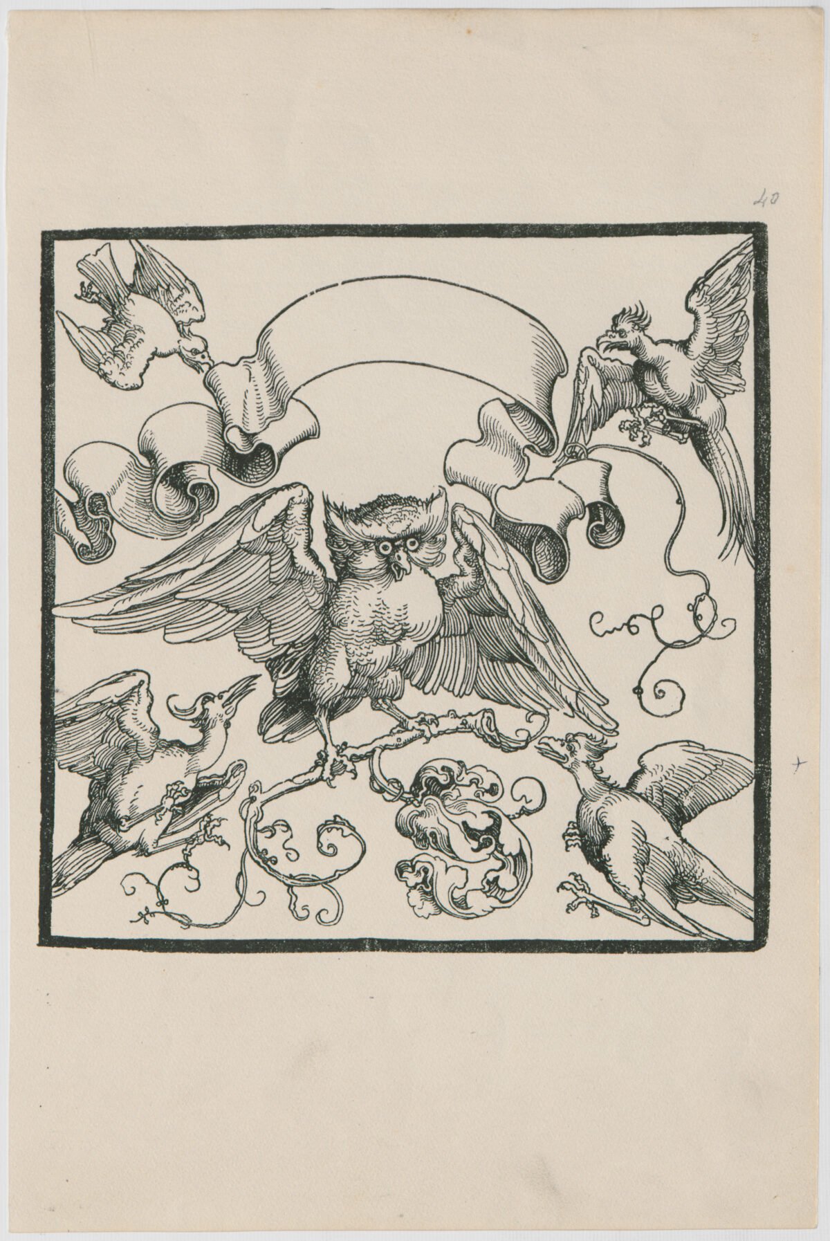 <span class="numbwork">0412</span > <span class="bullwork">•</span > La lechuza en combate con otras aves - Image 2