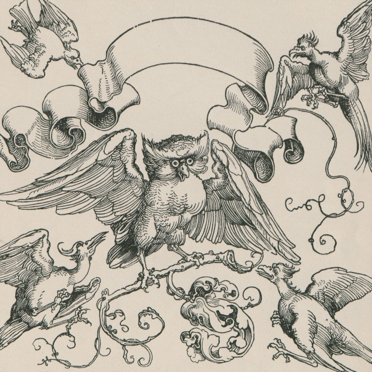 <span class="numbwork">0412</span > <span class="bullwork">•</span > La lechuza en combate con otras aves