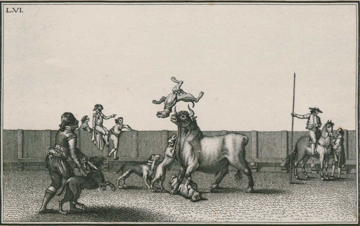 <span class="numbwork">0567</span > <span class="bullwork">•</span > Colección de las principales suertes de una corrida de toros VI