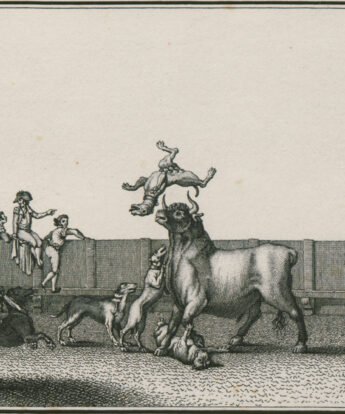 <span class="numbwork">0567</span > <span class="bullwork">•</span > Colección de las principales suertes de una corrida de toros VI