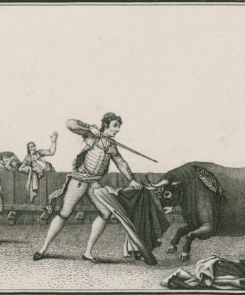 <span class="numbwork">0571</span > <span class="bullwork">•</span > Colección de las principales suertes de una corrida de toros X