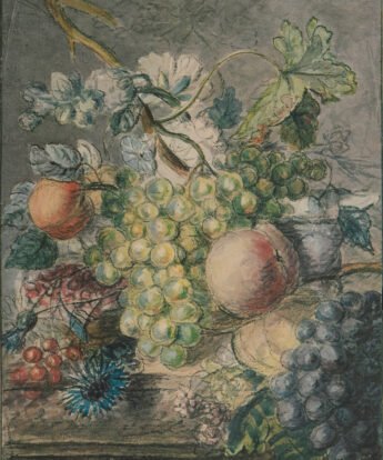 <span class="numbwork">0616</span > <span class="bullwork">•</span > Frutas y flores