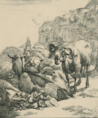 <span class="numbwork">0658</span > <span class="bullwork">•</span > Carnero junto a una cabra y dos ovejas