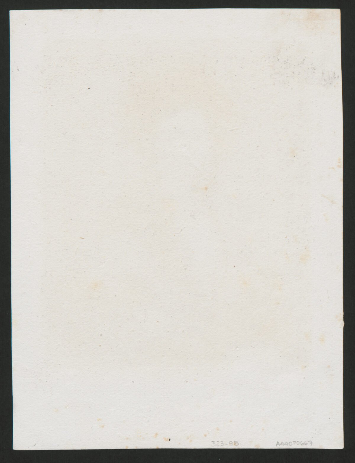 <span class="numbwork">0667</span > <span class="bullwork">•</span > Retrato de Baltasar Castiglioni (Conde de Casatico) - Image 3