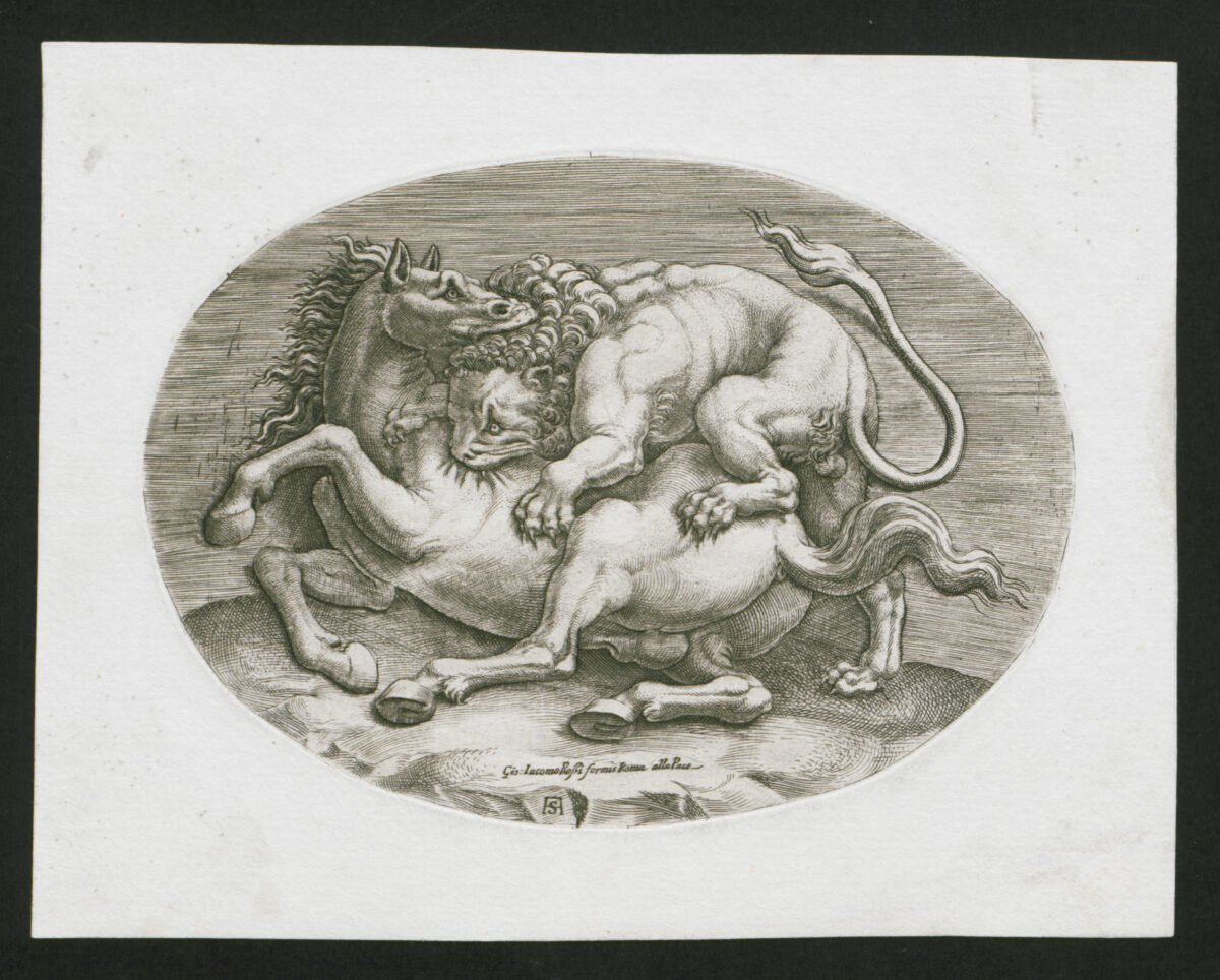 <span class="numbwork">0734</span > <span class="bullwork">•</span > León atacando un caballo - Image 2