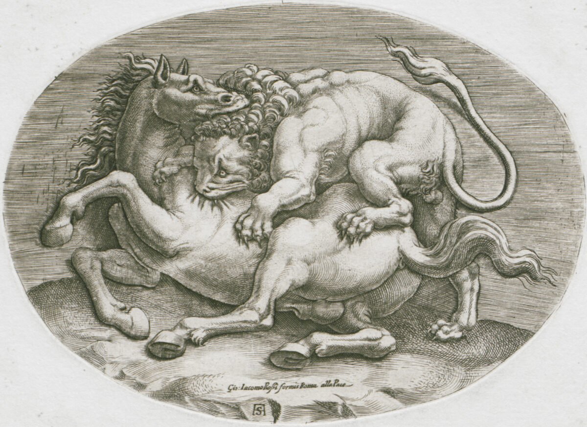 <span class="numbwork">0734</span > <span class="bullwork">•</span > León atacando un caballo