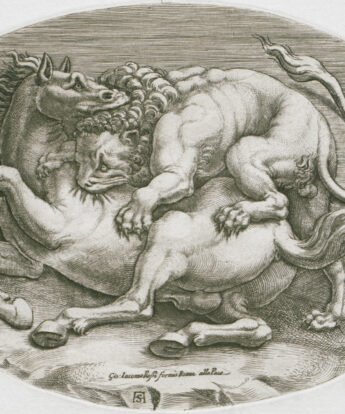 <span class="numbwork">0734</span > <span class="bullwork">•</span > León atacando un caballo