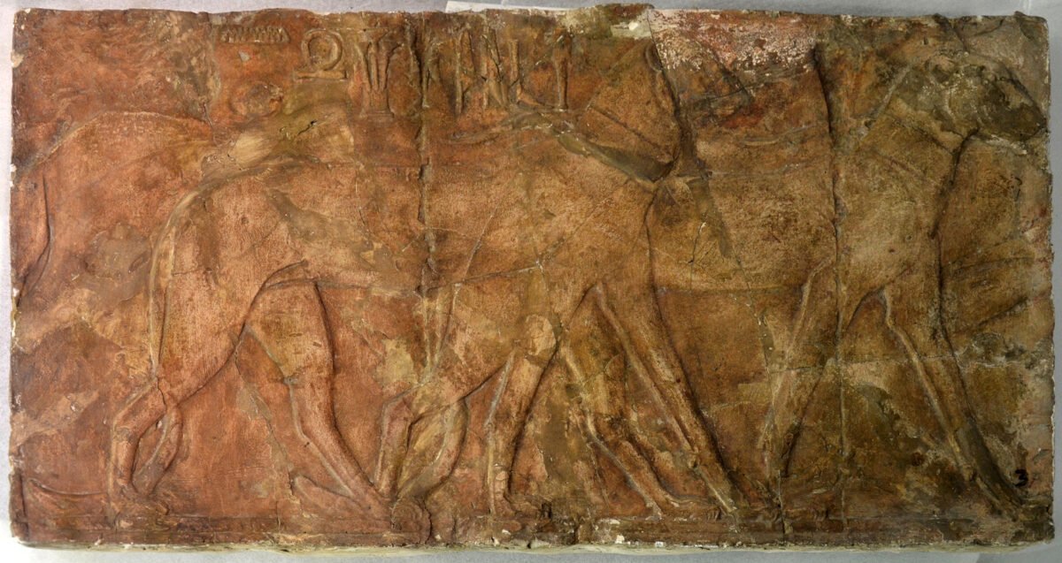 <span class="numbwork">1683</span > <span class="bullwork">•</span > Dos leopardos - Image 2