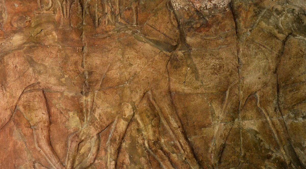 <span class="numbwork">1683</span > <span class="bullwork">•</span > Dos leopardos