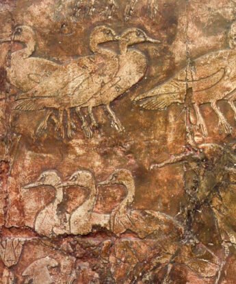 <span class="numbwork">1687</span > <span class="bullwork">•</span > Patos y garzas reales (1)