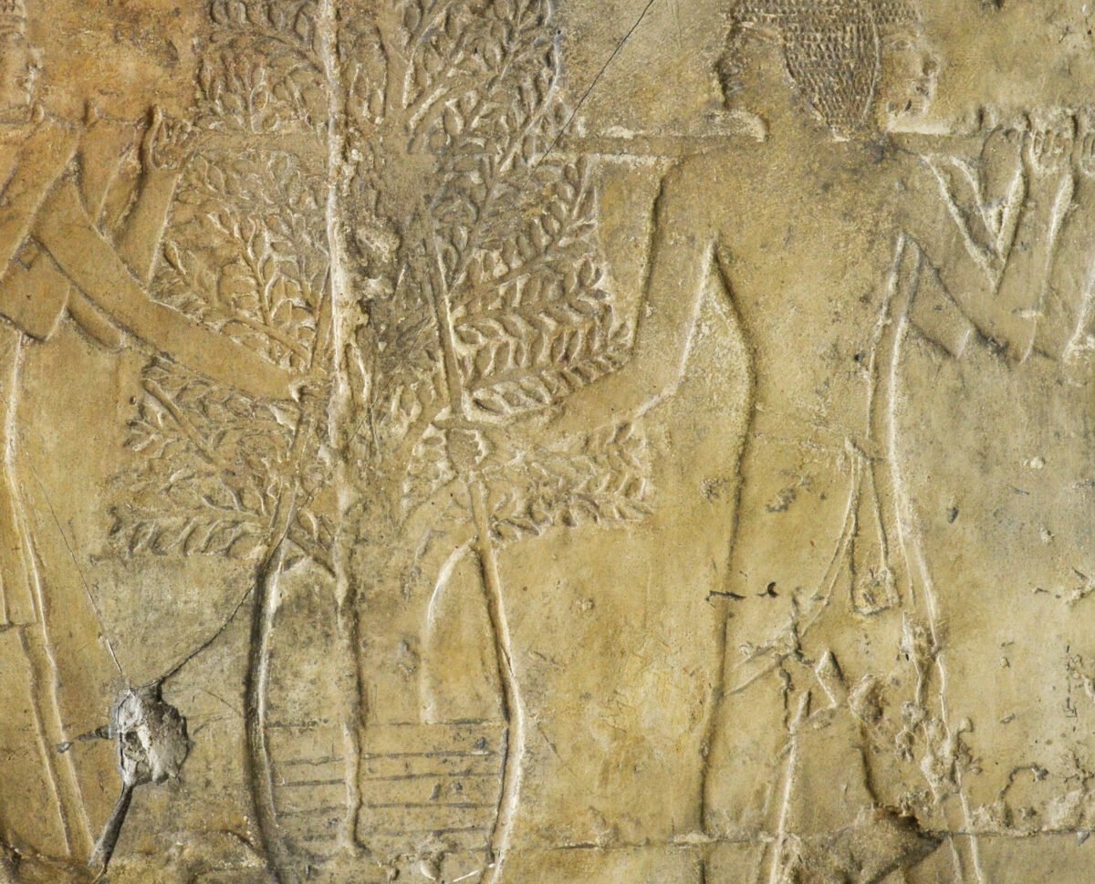 <span class="numbwork">1690</span > <span class="bullwork">•</span > Cuatro hombres transportando un árbol de mirra