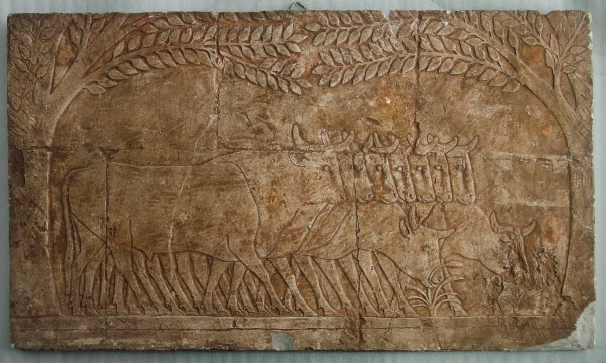 <span class="numbwork">1692</span > <span class="bullwork">•</span > El ganado de los habitantes de Punt - Image 2