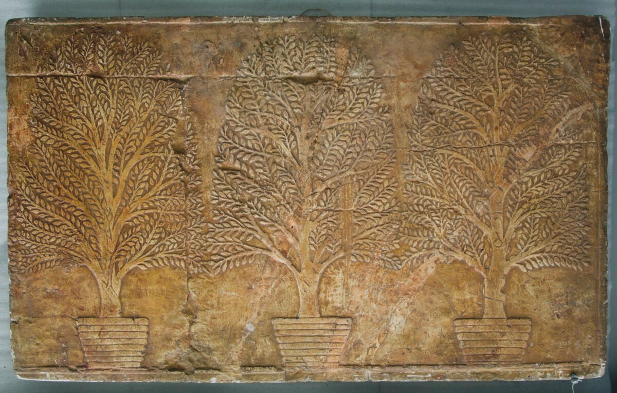 <span class="numbwork">1694</span > <span class="bullwork">•</span > Tres árboles de mirra - Image 2