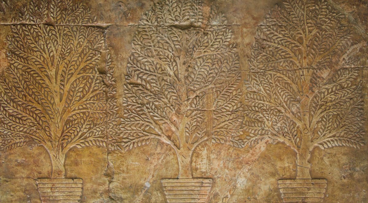 <span class="numbwork">1694</span > <span class="bullwork">•</span > Tres árboles de mirra