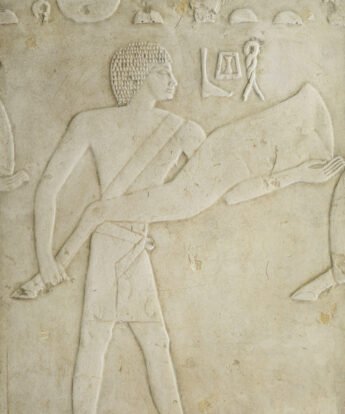 <span class="numbwork">1695</span > <span class="bullwork">•</span > Oferente (2)