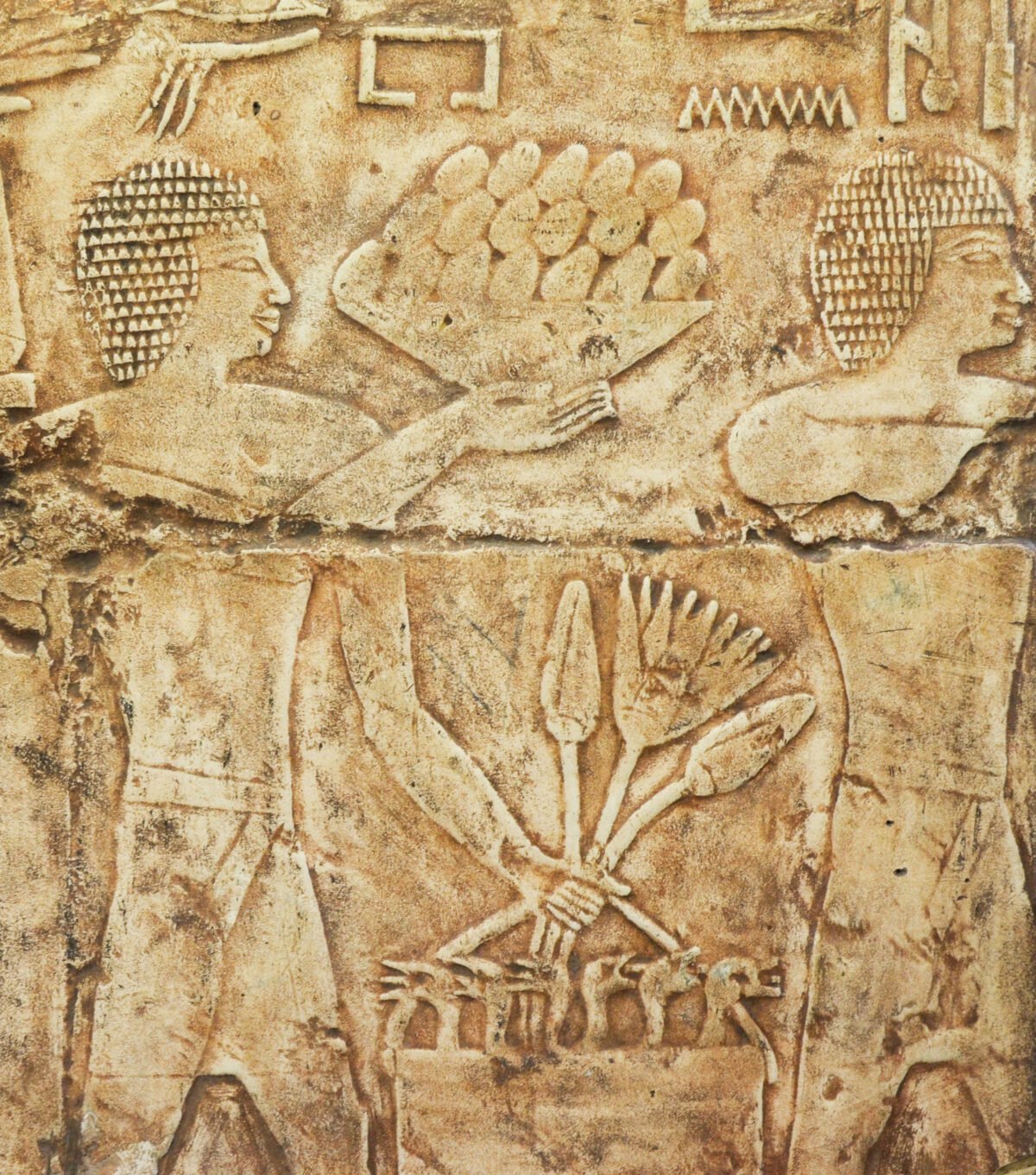 <span class="numbwork">1697</span > <span class="bullwork">•</span > Oferentes