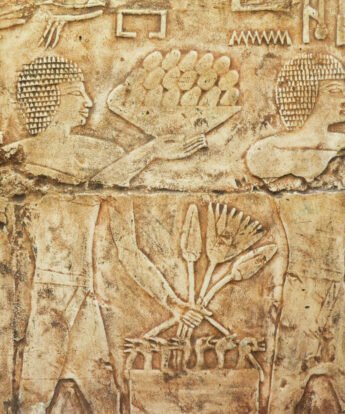 <span class="numbwork">1697</span > <span class="bullwork">•</span > Oferentes